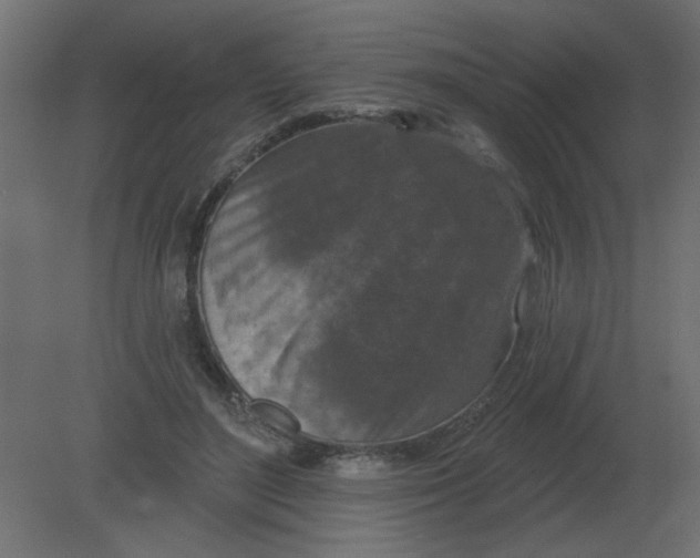 X0000080790500200701122151