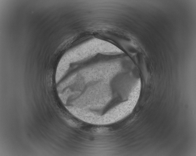 X0000080790501200701122151