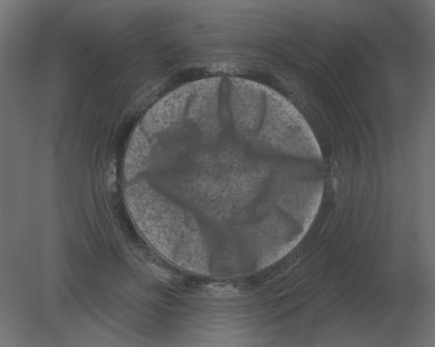 X0000080790502200701122151