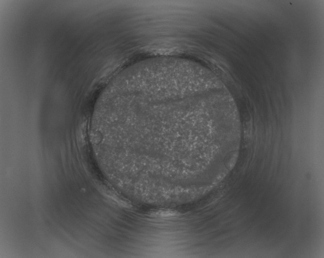 X0000080790503200701122151