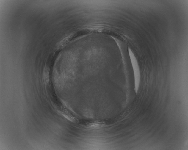 X0000080790504200701122151