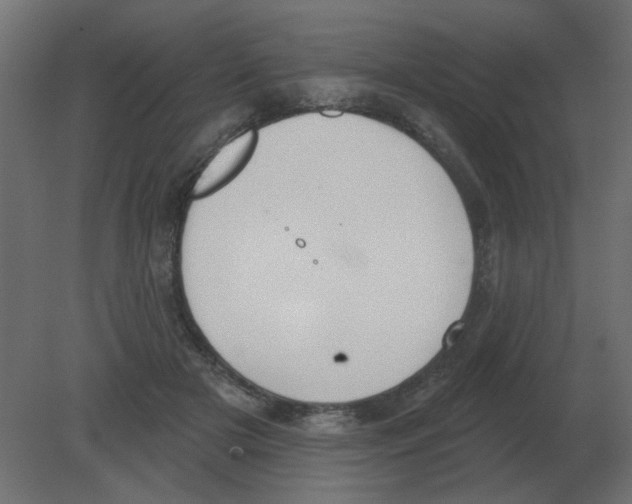 X0000080790505200701122151