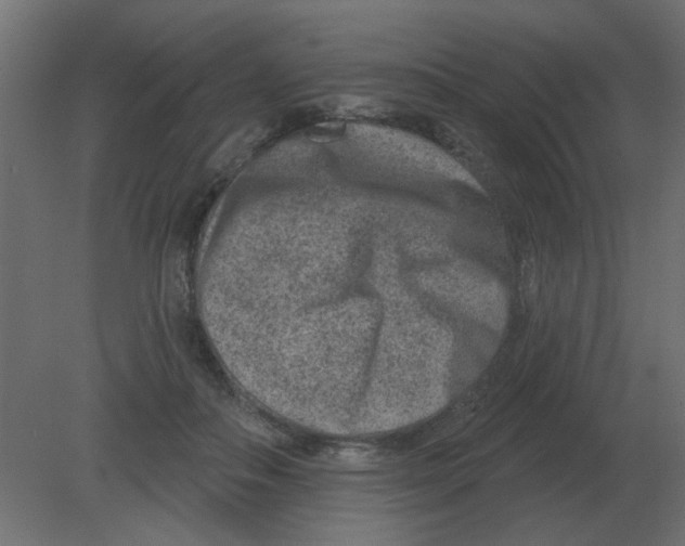 X0000080790506200701122151