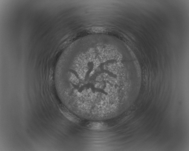 X0000080790507200701122151