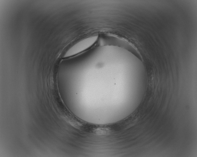 X0000080790508200701122151