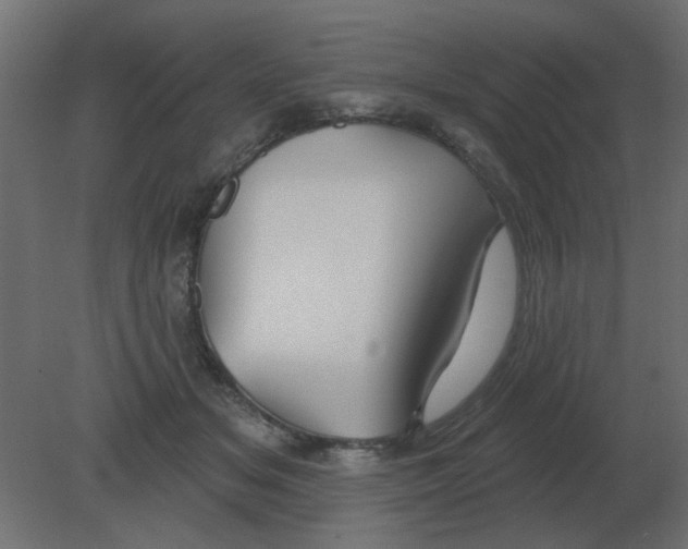 X0000080790509200701122151