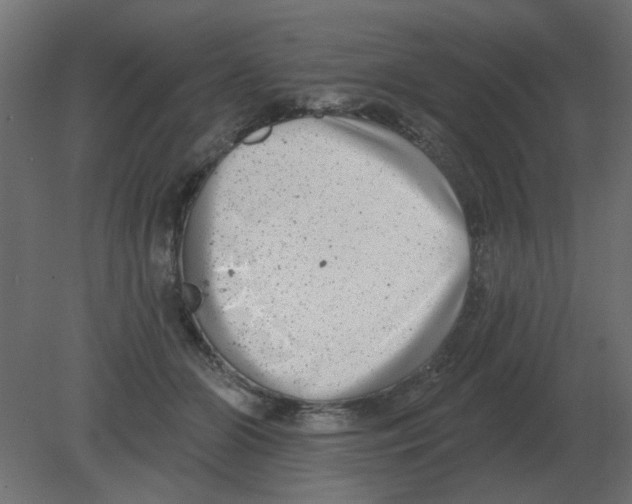 X0000080790510200701122151