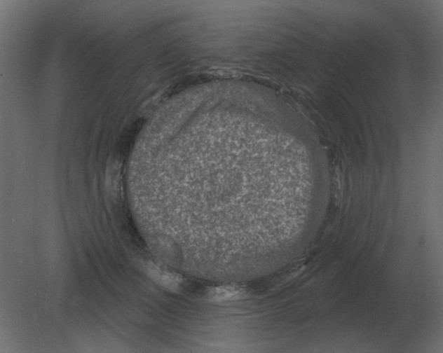 X0000080790511200701122151