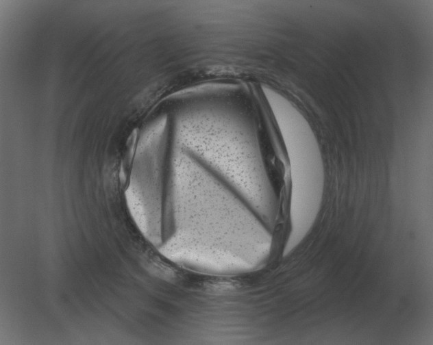 X0000080790513200701122151