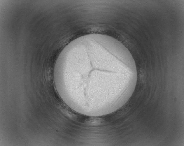 X0000080790514200701122151