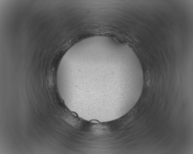 X0000080790515200701122151