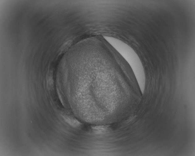 X0000080790516200701122151