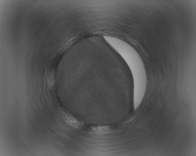 X0000080790517200701122151