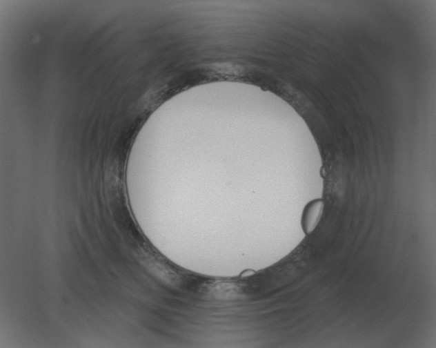 X0000080790518200701122151