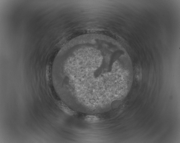 X0000080790519200701122151