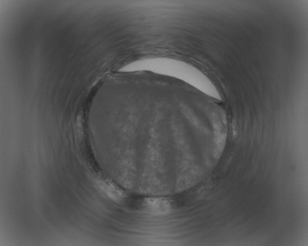 X0000080790520200701122151