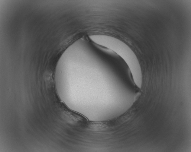 X0000080790521200701122151