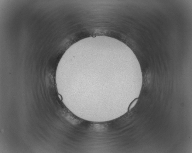 X0000080790522200701122151