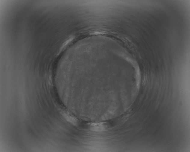 X0000080790524200701122151