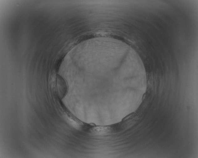 X0000080790526200701122151