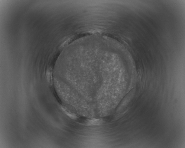 X0000080790527200701122151