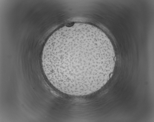 X0000080790529200701122150