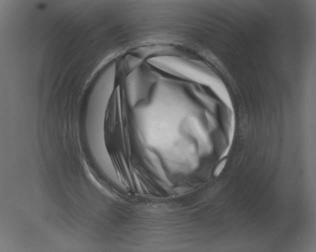 X0000080790530200701122150