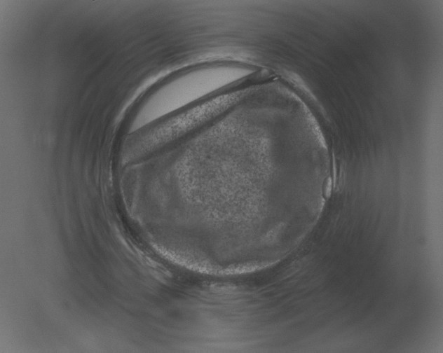 X0000080790531200701122150