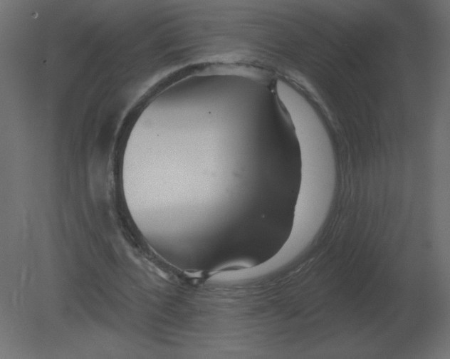 X0000080790532200701122150