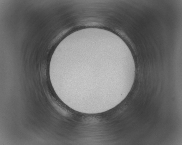 X0000080790533200701122150