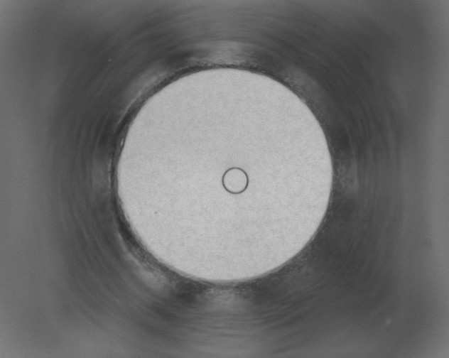 X0000080790534200701122150