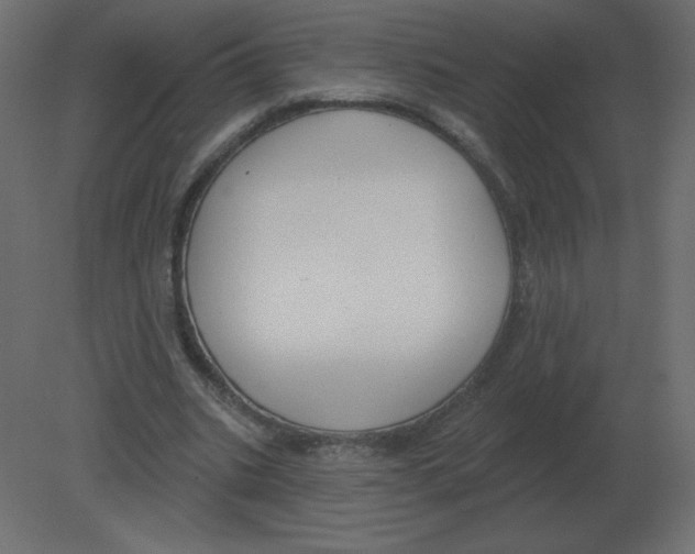 X0000080790535200701122150