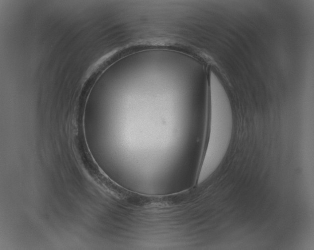 X0000080790536200701122150