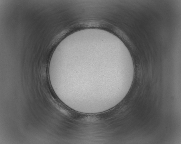 X0000080790537200701122150