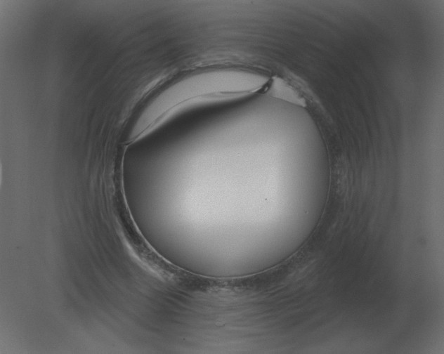 X0000080790538200701122150