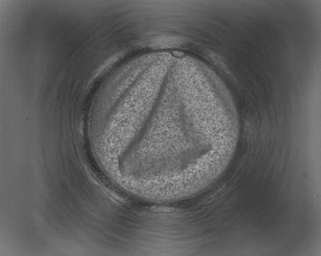 X0000080790539200701122150