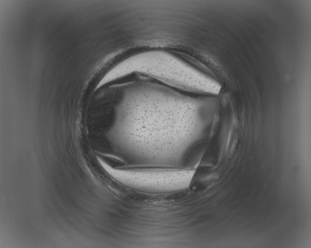 X0000080790540200701122150