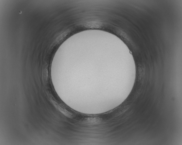 X0000080790541200701122150