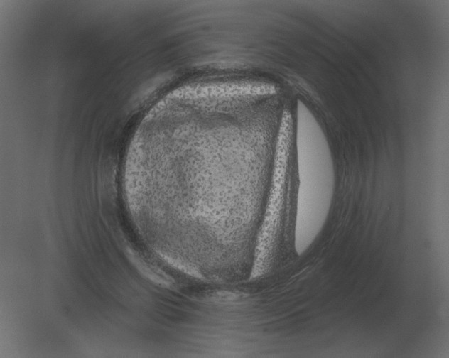 X0000080790542200701122150