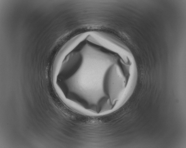 X0000080790543200701122150