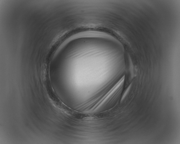 X0000080790544200701122150