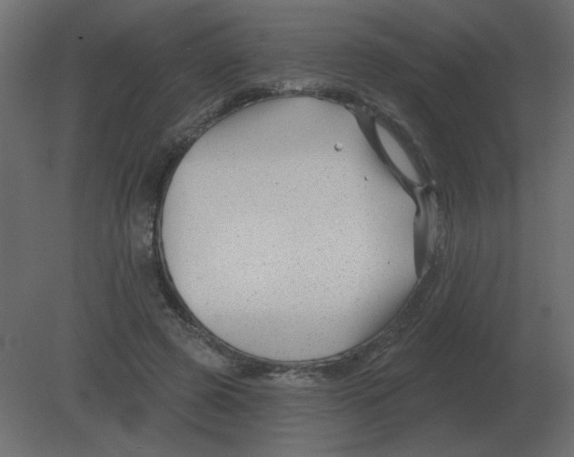 X0000080790545200701122150