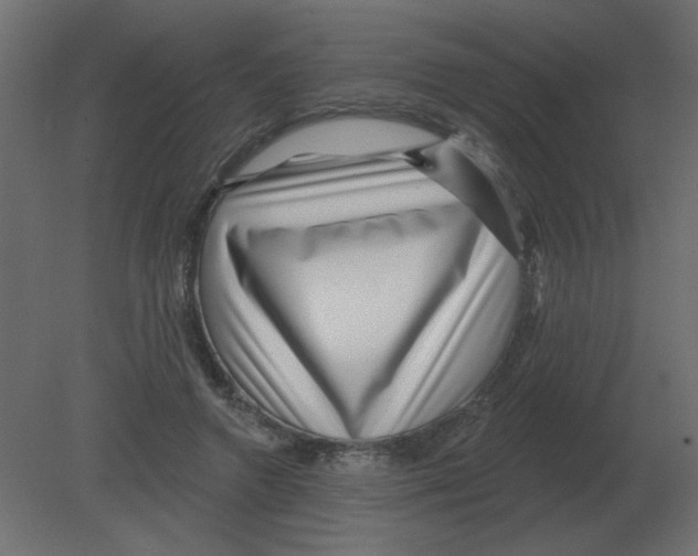 X0000080790546200701122150