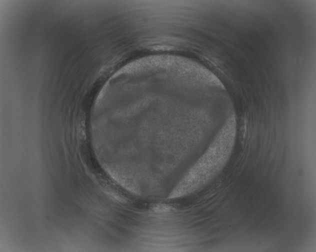 X0000080790547200701122150