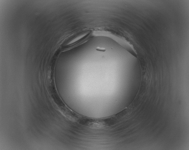 X0000080790548200701122150