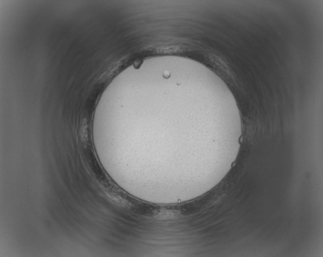 X0000080790549200701122150