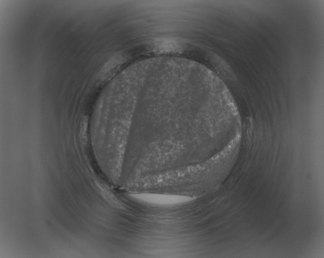 X0000080790550200701122150