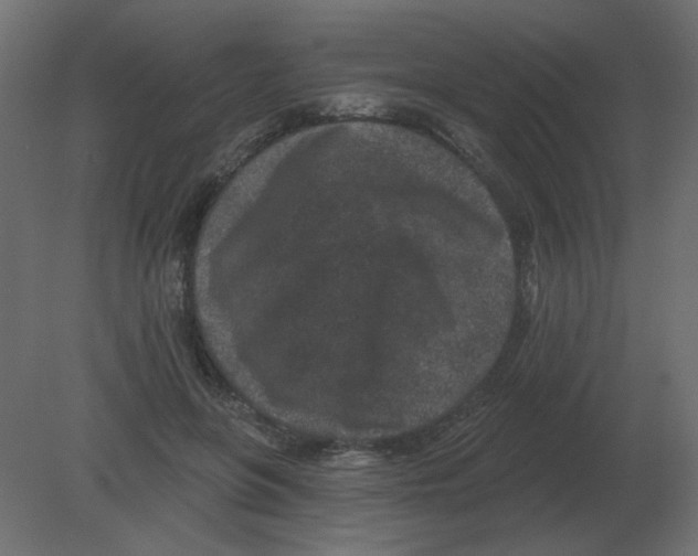 X0000080790551200701122150