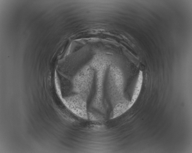 X0000080790552200701122150