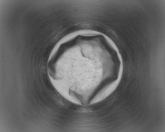 X0000080790553200701122150